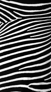 Wallpapers For Iphone 5 Frames 156 640 1136 Zebra Wallpaper Wallpaper Phone Wallpaper