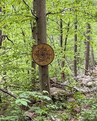 Profile for The Wildflower