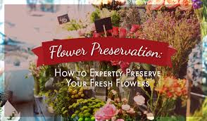 The first to introduce upscale floral arrangements in our patented signature crystal and mirror boxes in the philippines. Flower Preservation How To Expertly Preserve Your Fresh Flowers Blog Flower Patch Online Flower Delivery Phillippines