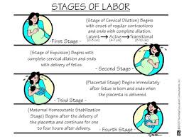 Image result for First Stage of Labor