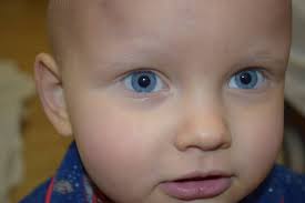 I know Jaime is gone and yet, it is still unbelievable. My rational mind  knows, it's just so hard to accept the reality of it because I don't want  it to be