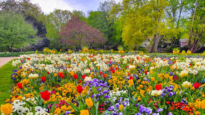 Ein Virtueller Ausflug In Die Natur Https Youtu Be Ilscsbfw Ae Ausflug Abendgrusse Grusse Zum Wochenende