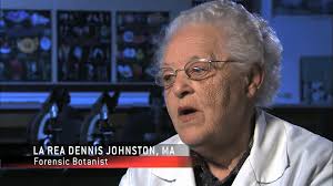 Seedy Intentions (2009)