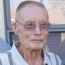 Herbert Seemann Sr. Obituary