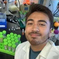 1800+ "Luera" profiles