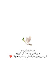 pin by ashna aso on صور love husband quotes short inspirational quotes positive quotes