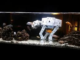 Adding aquarium ornaments is a way to bring personality to your fish tank. Creating The Perfect Star Wars Fish Tank Total Fish Tank