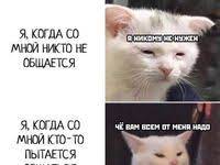 pin na doske fine