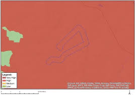 Image result for Linderniella wilmsii