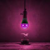 There are times when a windowsill is all one needs to grow a plant fluorescent lights are the most popular choice for home growers. Feit Electric Full Spectrum Led A19 Plant Grow Light Bulb Canadian Tire