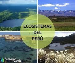 We did not find results for: Cuales Son Los Ecosistemas Del Peru Y Sus Caracteristicas