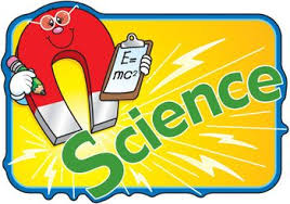 This Product Provides You With Two Crossword Puzzles That Review Much Of The Vocabulary From The Book En Kindergarten Science Preschool Science Science Clipart