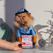 Dog person or cat person? 🐶 🐱 No...