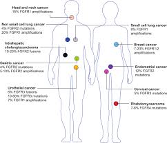 We did not find results for: Fibroblast Growth Factor Receptors In Cancer Genetic Alterations Diagnostics Therapeutic Targets And Mechanisms Of Resistance British Journal Of Cancer