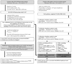 Frontiers Genome Wide Interaction And Pathway Association