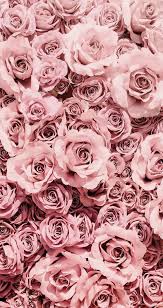 Einfache Und Asthetische Hubsche Rosa Rose Schaumkrone Telefon Wanddekor Z Hd Einfache In 2020 Flower Phone Wallpaper Pink Wallpaper Iphone Rose Gold Aesthetic