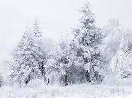 Als de temperatuur onder het vriespunt daalt (dus beneden de 0 graden komt), veranderen hele kleine waterdruppels van de wolken in hele fijne ijsnaaldjes(sneeuw). Sneeuw Wikipedia