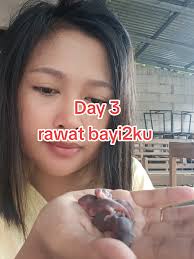 Aya Bell (@diarymisteriayaaaa)