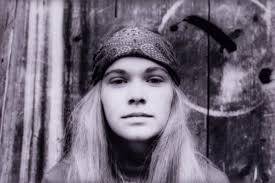 Belkin Art Gallery Collections Management System : Item : <em>Fieldwork  (Cheyenne Type) </em> [BG1693]