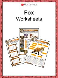 Fox Facts & Worksheets for Kids | Types, Habitat, Diet, Cultural ...