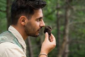 Private Truffles Hunting with Lunch from Florence 5 hours in Florence