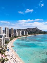 Call our pest service today for immediate help. Aloha Termite Pest Control Services Serving All Islands In Hawaii