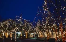 Wildlights At The Columbus Zoo And Aquarium Named A Top 100 Event In North America Aba 2012 Take Advantage Of F Ohio Vacations Columbus Zoo Kids Go Free