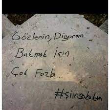 Gozlerin Diyorum Bakmak Icin Cok Fazla Gozler