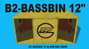 Maybe you would like to learn more about one of these? Skema Box Sub 12 B2 Bassbin 12 Youtube