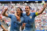 Image result for uruguay soccer team color