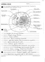 Plant Cell Diagram Worksheet Answers Beautiful Worksheet Cell Organelles Worksheet Answers Grass F In 2020 Cells Worksheet Plant Cells Worksheet Animal Cells Worksheet