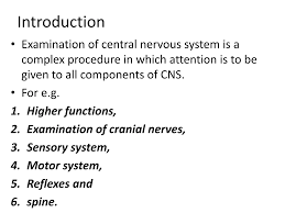 Image result for Higher Integrative Function