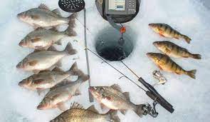 Salmon fishing waters and information, by state. Ice Fishing Fishing New Hampshire Fish And Game Department
