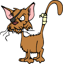 Cat Clip Art At Clker Com Vector Clip Art Online Royalty Free Cat Shampoo Cat Shelter Cartoon Cat