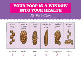 10 23 17 05 36 13_dr Poo Chart This Healthy Mom