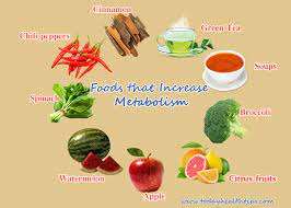 When trying to lose weight, we tend to fixate on the foods we aren't supposed to eat. Foods That Increase Metabolism To Lose Weight Burn Fat Faster Than Ever