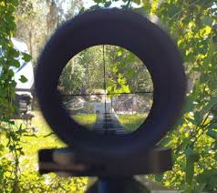 James ferry 2 minutes to read. The Bushnell Ar Optics Drop Zone 223 It S Okay