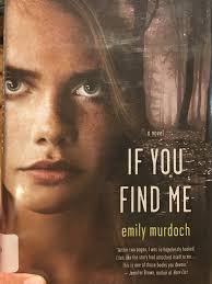 Do any of you know what the book with Missy in it. You meet her in Blood  Binding when you meet her sister