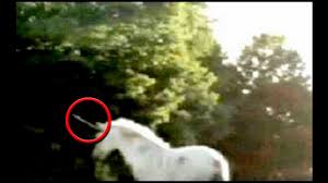 Maybe you would like to learn more about one of these? Los Unicornios Son Reales Aunque No Como La Gente Cuenta