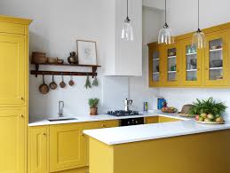 But don't think you have to paint everything lemon yellow during your kitchen remodel. Projects Lonika Chande Yellow Kitchen Designs Kitchen Design Yellow Kitchen Cabinets