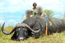The one guy has about 22/23 pierre van tonder: Pierre Van Tonder Hunting Safaris Are You Looking For A Successful African Hunting Safari