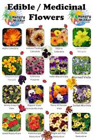 What Flowers Are Edible Garden Design Ideas