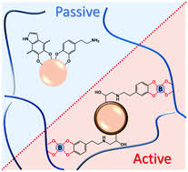 I follow the instructions on igors lab. Bio Inspired Surface Modification Of Iron Oxide Nanoparticles For Active Stabilization In Hydrogels Soft Matter Rsc Publishing