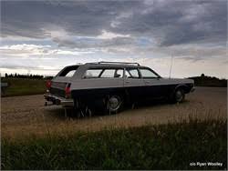 Image result for Golden Fawn 1976 Coronet