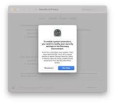 How To Enable System Extensions On Apple Silicon M1 Mac