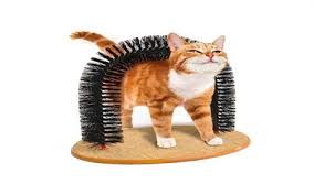 purrfect arch kedi tirmalama ve kasinma tahtasi kedi malzemeleri kediler ve yavrulari kedi