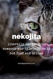 12 Beautiful And Untranslatable Japanese Words Japanese Words Japanese Phrases Learn Japanese Words