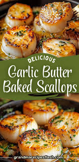 Kristy Radcliffe (kristyjr)