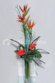 Artificial Bird Of Paradise Flower Arrangement Uk Pin On Large
