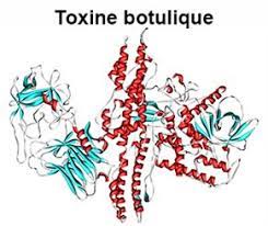 Cattle of all age s can be affected. Que Faire En Cas De Botulisme Docteurclic Com